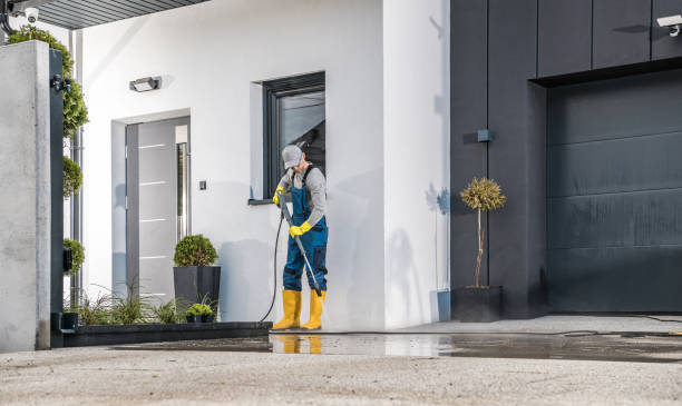 Best Paint Preparation  in Dilley, TX